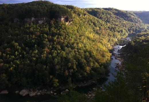 Blue Heron, Big South Fork